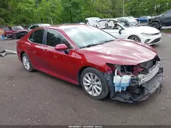 4T1B11HK8KU762291 2019 TOYOTA CAMRY
