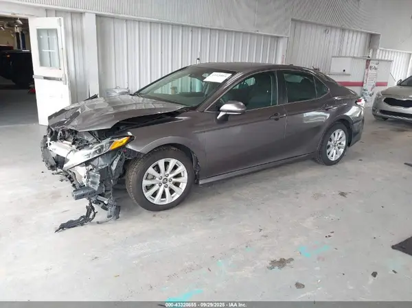 4T1B11HK8KU763229 2019 TOYOTA CAMRY - Image 2