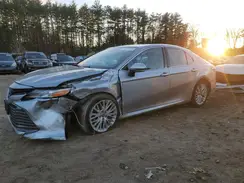 4T1B11HK8KU771539 2019 TOYOTA CAMRY