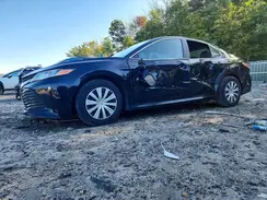 4T1B11HK8KU775512 2019 TOYOTA CAMRY
