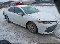 4T1B11HK8KU776482 2019 TOYOTA CAMRY