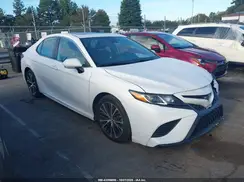 4T1B11HK8KU780807 2019 TOYOTA CAMRY