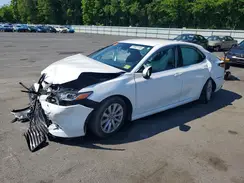 4T1B11HK8KU781813 2019 TOYOTA CAMRY