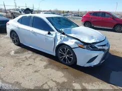 4T1B11HK8KU781908 2019 TOYOTA CAMRY