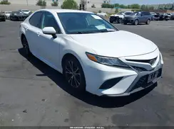 4T1B11HK8KU786901 2019 TOYOTA CAMRY