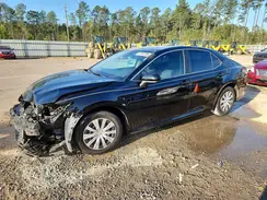 4T1B11HK8KU788566 2019 TOYOTA CAMRY