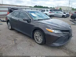 4T1B11HK8KU789975 2019 TOYOTA CAMRY