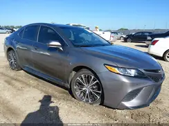 4T1B11HK8KU795498 2019 TOYOTA CAMRY