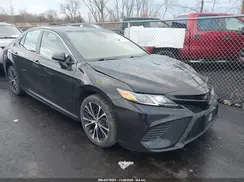 4T1B11HK8KU796795 2019 TOYOTA CAMRY