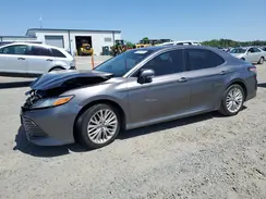 4T1B11HK8KU797977 2019 TOYOTA CAMRY