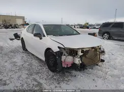 4T1B11HK8KU802126 2019 TOYOTA CAMRY