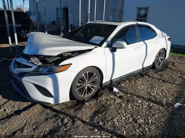 4T1B11HK8KU803194 2019 TOYOTA CAMRY - Image 2