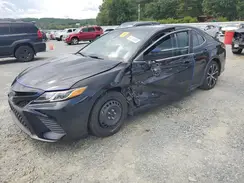 4T1B11HK8KU803261 2019 TOYOTA CAMRY
