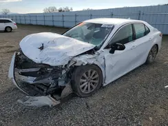 4T1B11HK8KU804880 2019 TOYOTA CAMRY