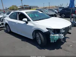 4T1B11HK8KU807536 2019 TOYOTA CAMRY
