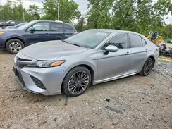 4T1B11HK8KU810890 2019 TOYOTA CAMRY