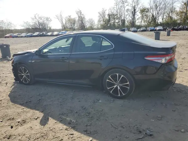 4T1B11HK8KU813014 2019 TOYOTA CAMRY - Image 2