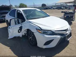 4T1B11HK8KU822487 2019 TOYOTA CAMRY