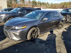 4T1B11HK8KU833392 2019 TOYOTA CAMRY