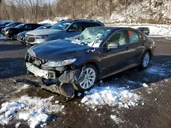 4T1B11HK8KU835384 2019 TOYOTA CAMRY