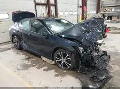 4T1B11HK8KU843601 2019 TOYOTA CAMRY