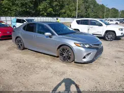 4T1B11HK8KU851021 2019 TOYOTA CAMRY