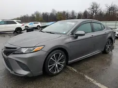 4T1B11HK8KU851231 2019 TOYOTA CAMRY