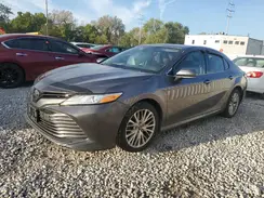 4T1B11HK9KU160600 2019 TOYOTA CAMRY