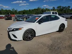 4T1B11HK9KU198005 2019 TOYOTA CAMRY