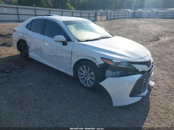4T1B11HK9KU202070 2019 TOYOTA CAMRY - Image 1
