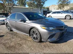 4T1B11HK9KU202697 2019 TOYOTA CAMRY