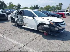 4T1B11HK9KU204904 2019 TOYOTA CAMRY