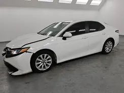4T1B11HK9KU219919 2019 TOYOTA CAMRY