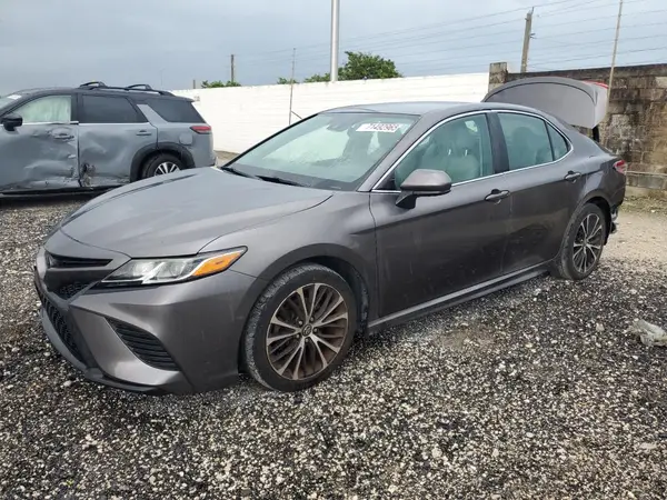 4T1B11HK9KU223114 2019 TOYOTA CAMRY - Image 1