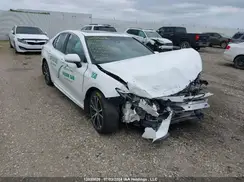 4T1B11HK9KU232623 2019 TOYOTA CAMRY