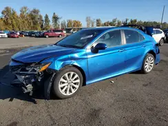 4T1B11HK9KU236493 2019 TOYOTA CAMRY