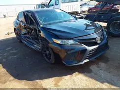 4T1B11HK9KU239538 2019 TOYOTA CAMRY