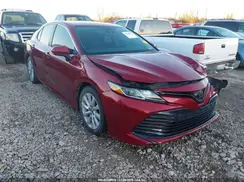 4T1B11HK9KU241032 2019 TOYOTA CAMRY