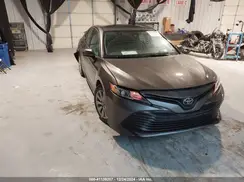 4T1B11HK9KU253343 2019 TOYOTA CAMRY