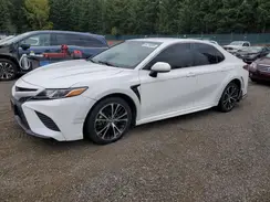 4T1B11HK9KU254668 2019 TOYOTA CAMRY