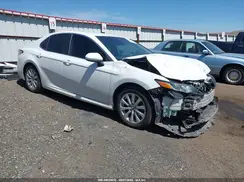 4T1B11HK9KU267985 2019 TOYOTA CAMRY