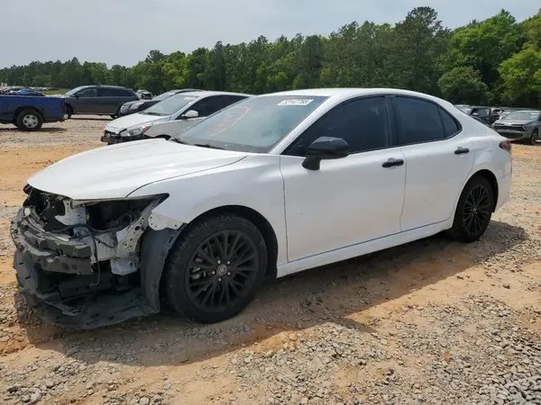 4T1B11HK9KU269042 2019 TOYOTA CAMRY - Image 1