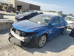 4T1B11HK9KU269557 2019 TOYOTA CAMRY