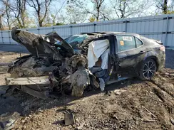 4T1B11HK9KU282177 2019 TOYOTA CAMRY