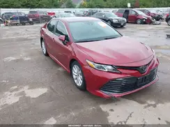 4T1B11HK9KU291039 2019 TOYOTA CAMRY