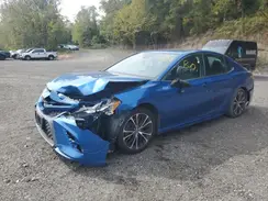 4T1B11HK9KU296502 2019 TOYOTA CAMRY
