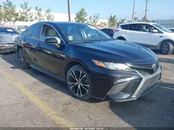 4T1B11HK9KU297861 2019 TOYOTA CAMRY