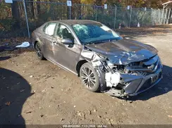 4T1B11HK9KU691411 2019 TOYOTA CAMRY
