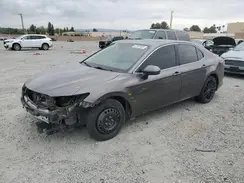 4T1B11HK9KU710426 2019 TOYOTA CAMRY