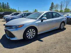 4T1B11HK9KU717490 2019 TOYOTA CAMRY